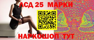 гидропоника Коммунар