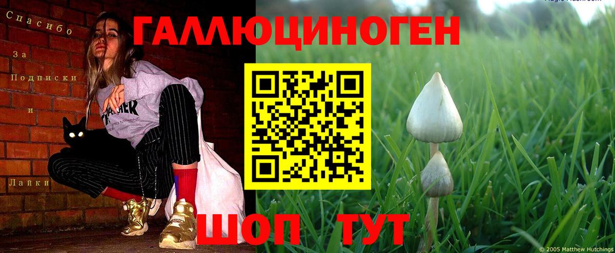 Жуковский  Галлюциногенные грибы Magic Shrooms  Вход с VPN 